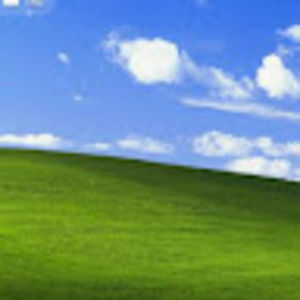 Meet your Posher, Damien